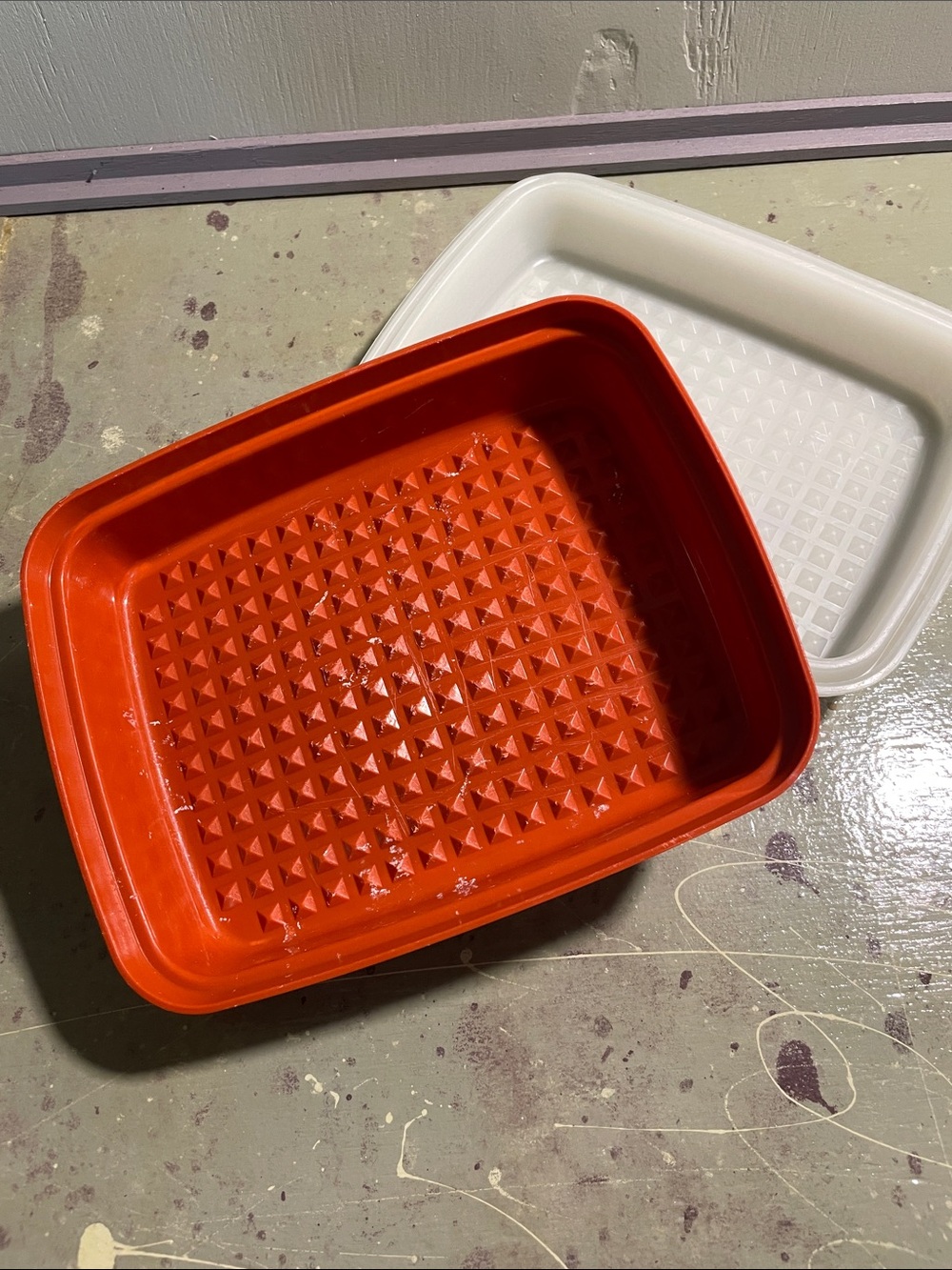 Tupperware Season-Serve Marinating Container with lid